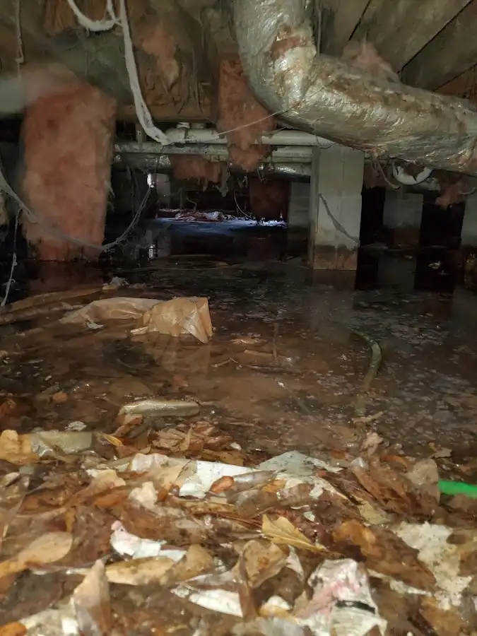 Crawl space flood assessment for Leak Detection & Repair in Monterey